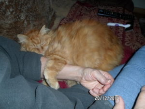 MINETTE
