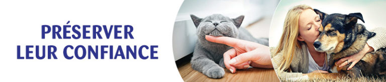 Chiens à adopter – SPA de Vannes et de la Région