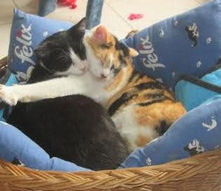 Julien (et Lola)
